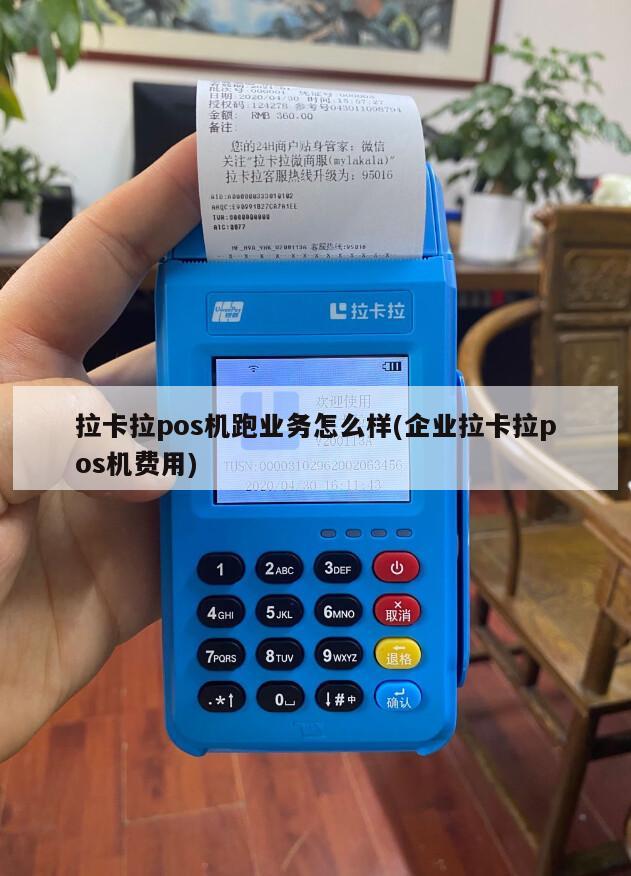 上海松江区拉卡拉POS机办理指南：申请条件与流程详解